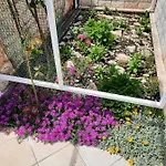 Apartmán Anita Brodarica (Sibenik-Knin)