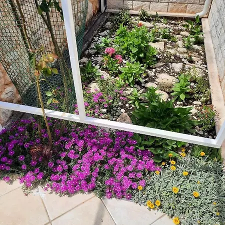 Apartment Anita Brodarica (Sibenik-Knin)