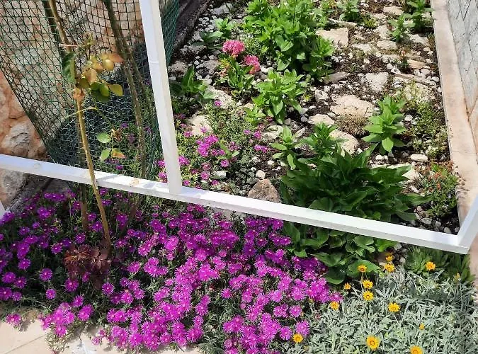 Apartamento Anita Brodarica (Sibenik-Knin)